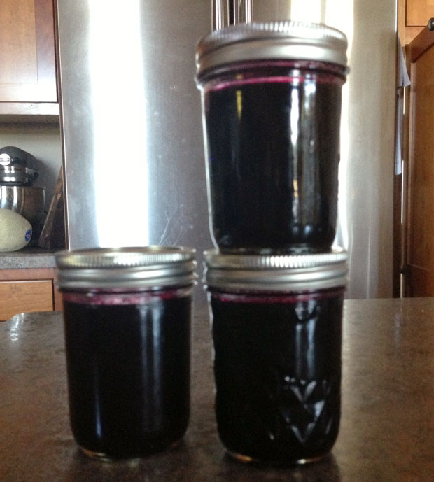 low sugar grape jelly recipe,  grape jelly recipe, wild grape jam, grape season, how to make grape jell with no sugar, the handmade girl